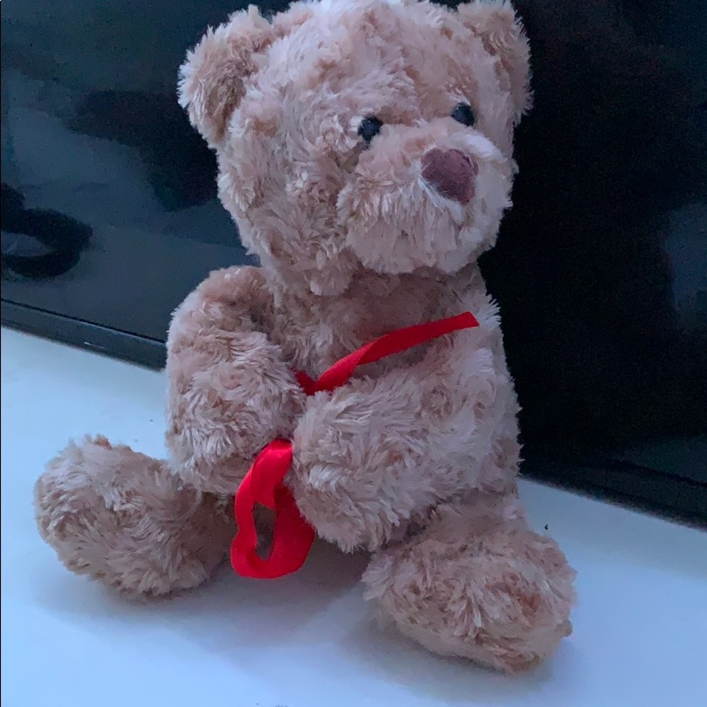 Teddy bear